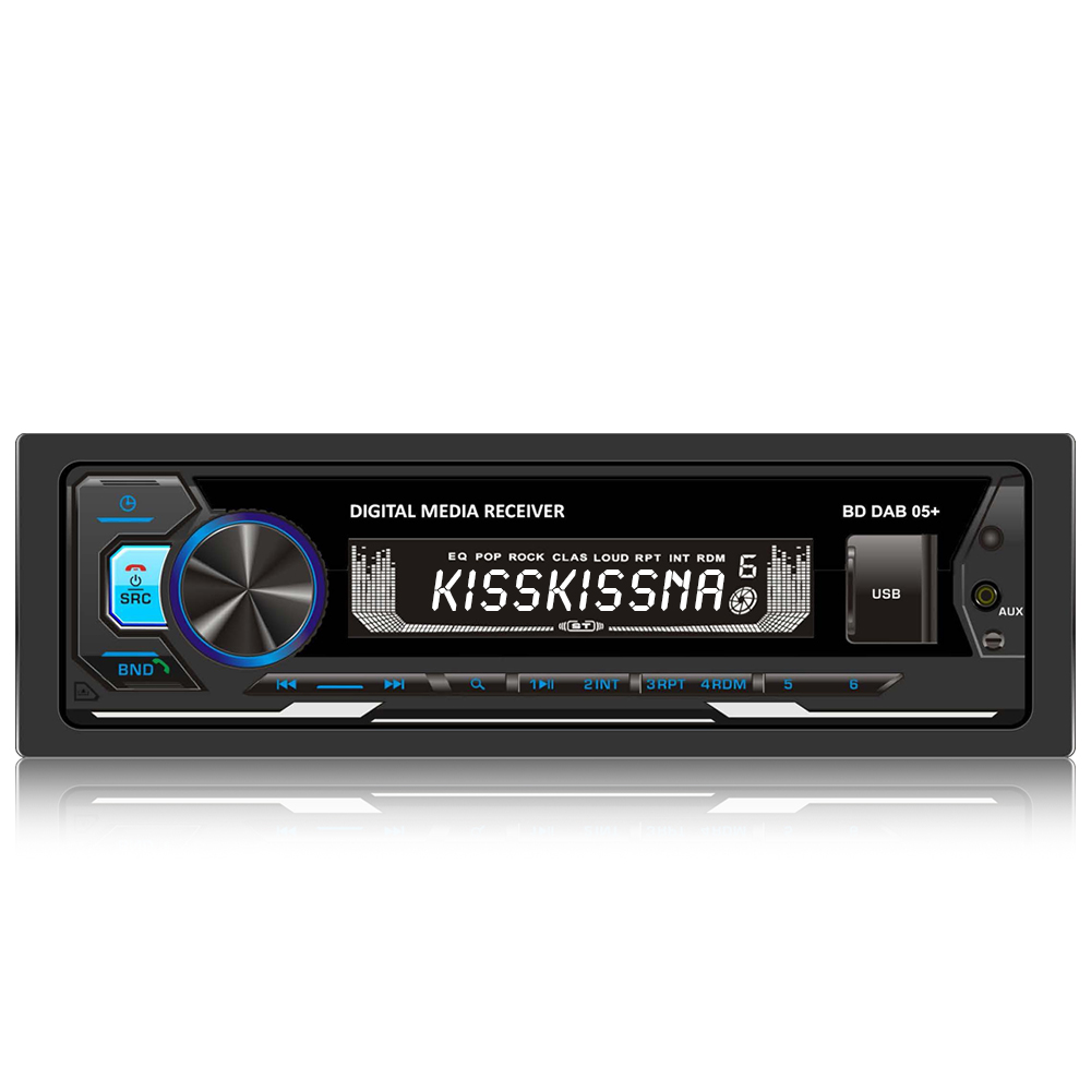 Vistron YOUTUNE 1 DAB+ Sintonizzatore Per Impianto HiFi: Radio Digitale E FM Con Display E Telecomando