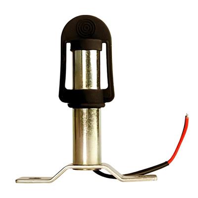 DM1
